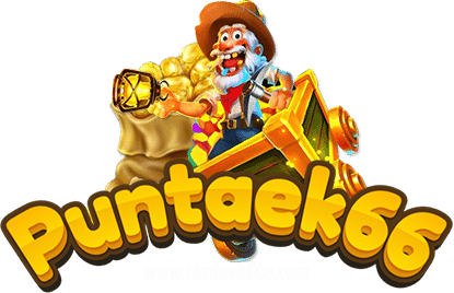 puntaek66